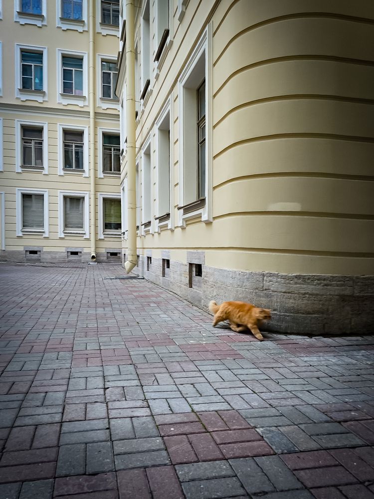 Photograph by Елена Сиушова