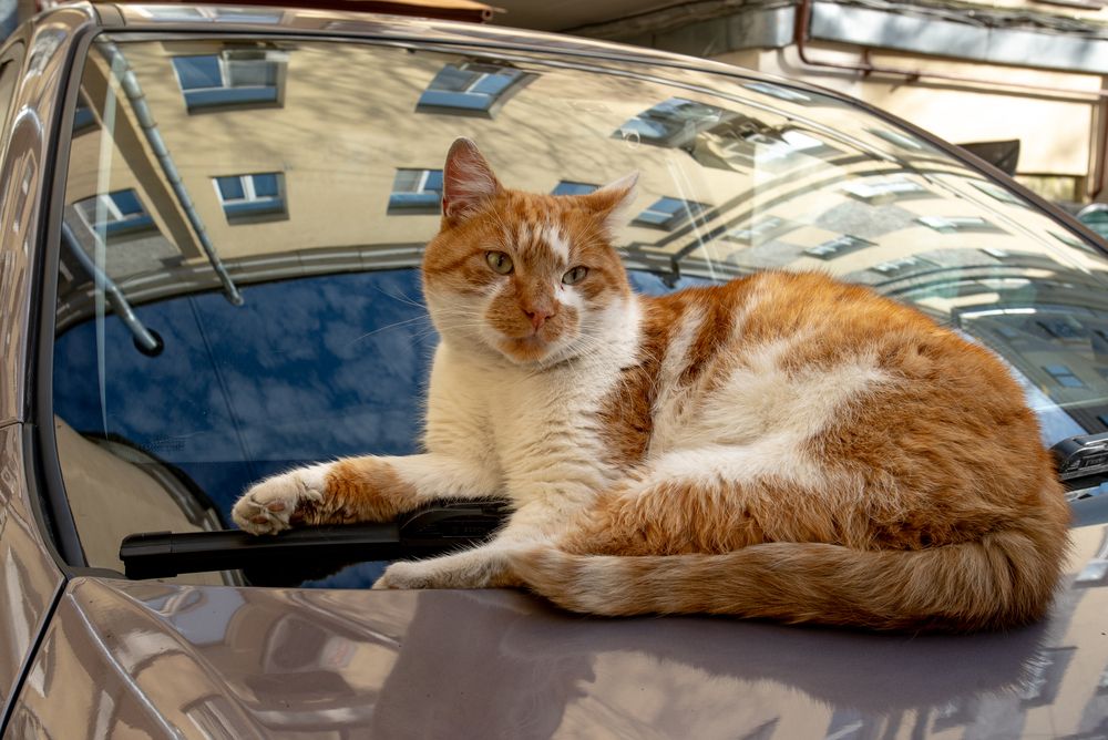 Photograph by Тамара Андреева