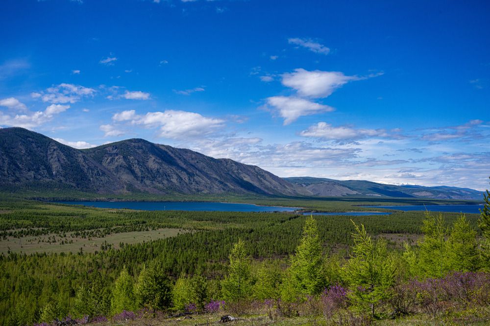 Photograph by Константин Зинченко