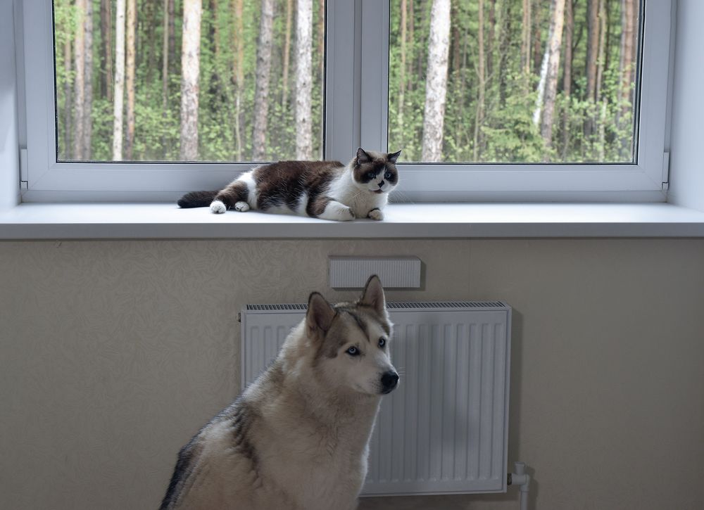 Photograph by Ирина Кленкова