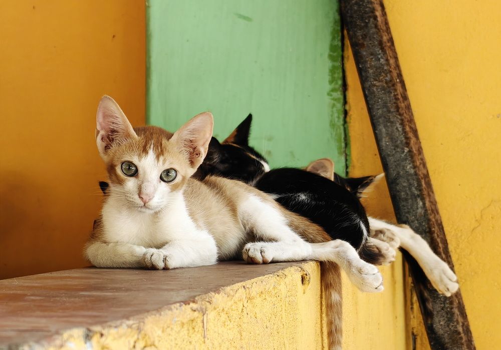 Photograph by Кристина Феминова