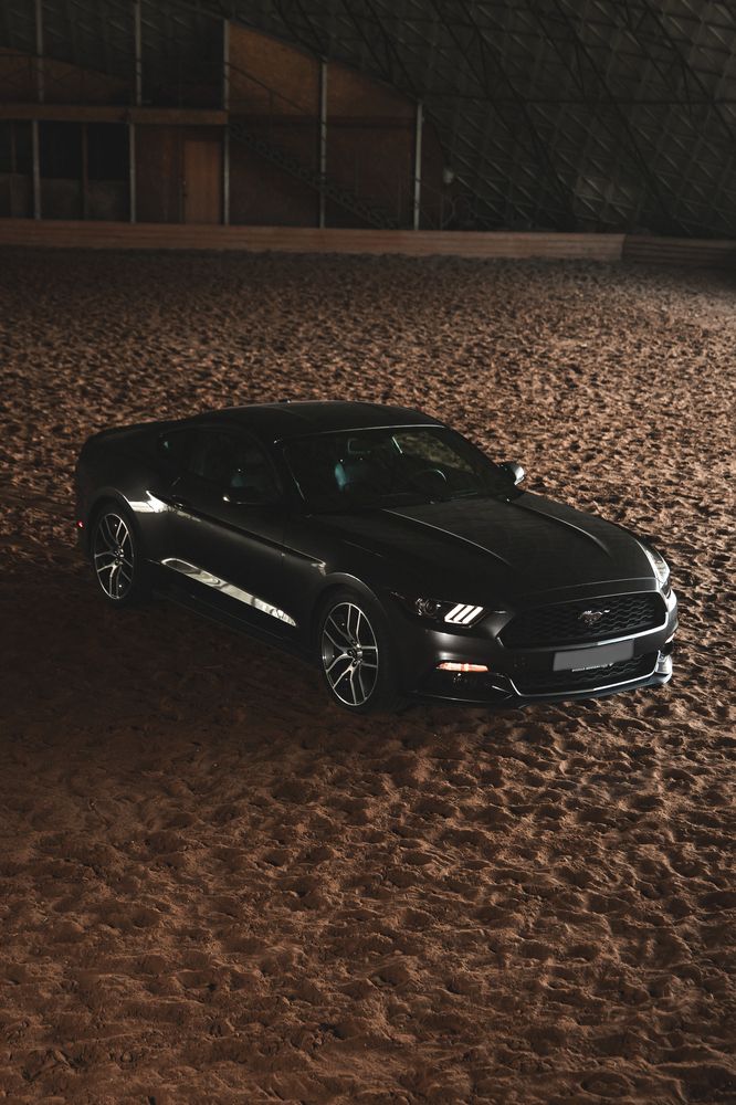 Фотография автора Артём Пышкин