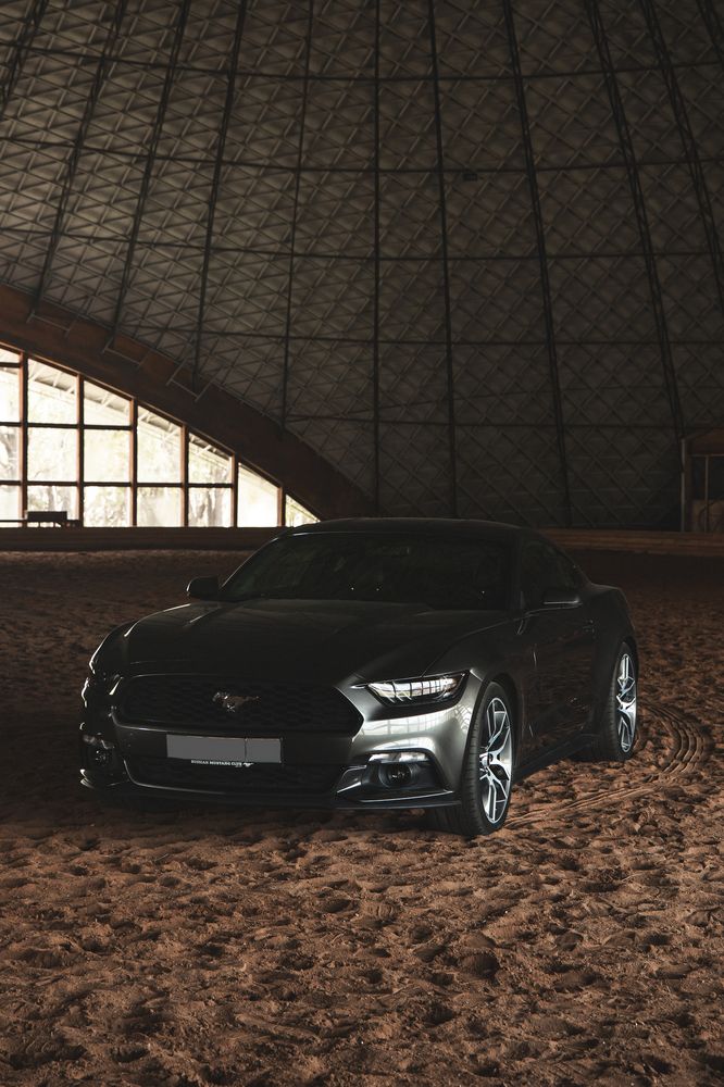 Фотография автора Артём Пышкин