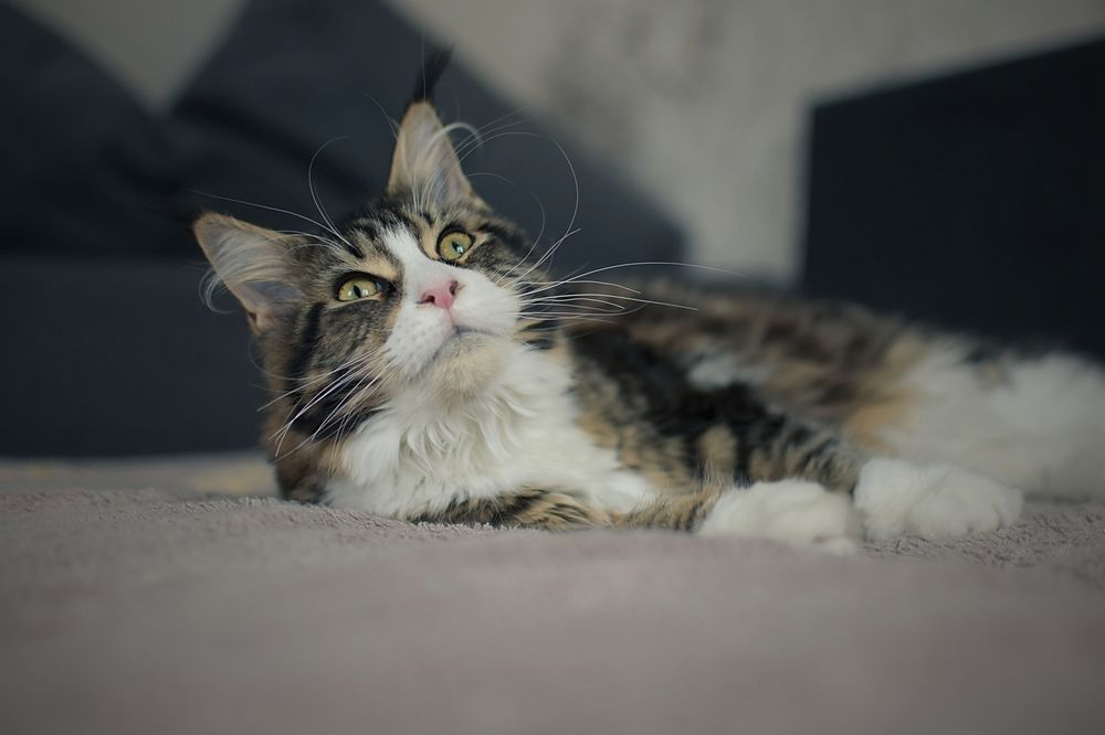 Photograph by Юрий Жданов