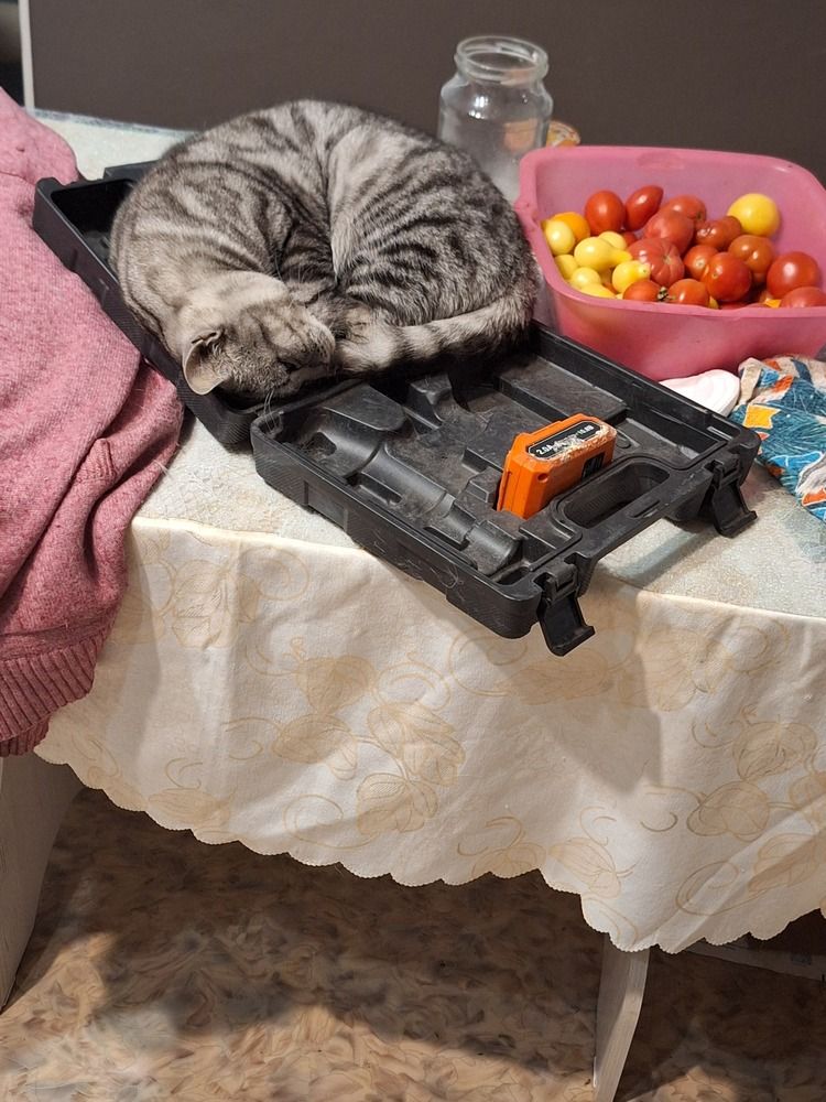 Photograph by Наталия Жернакова