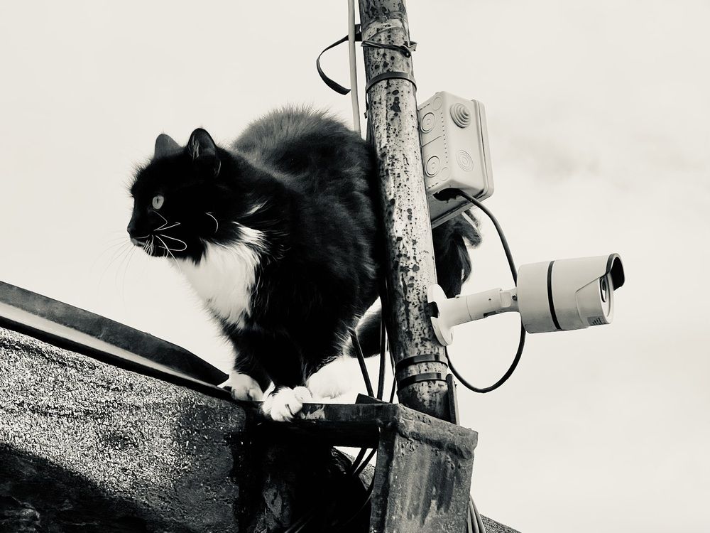 Photograph by Maxim Voronov