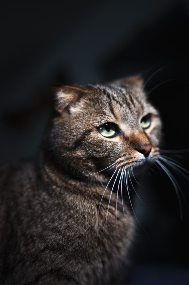 Photograph by Elena Papadopoulou