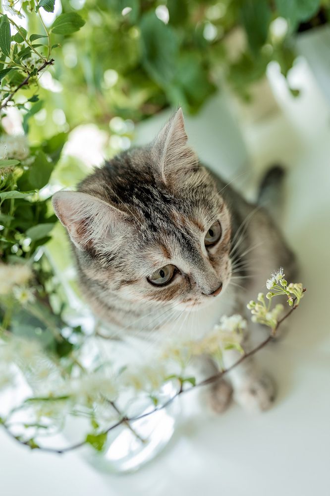 Фотография автора Альбина Кадочникова