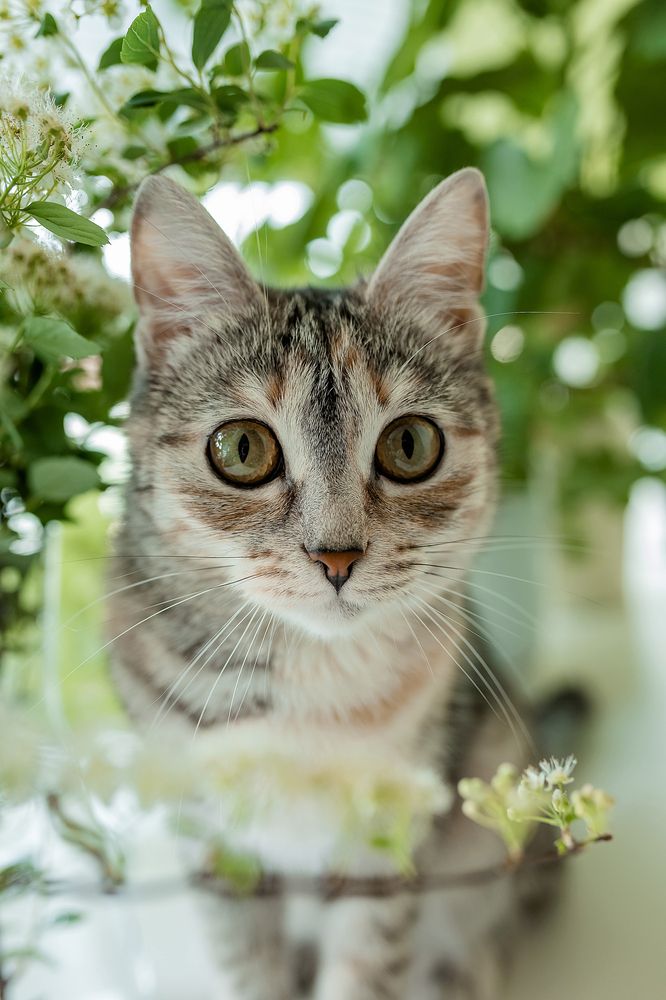 Фотография автора Альбина Кадочникова