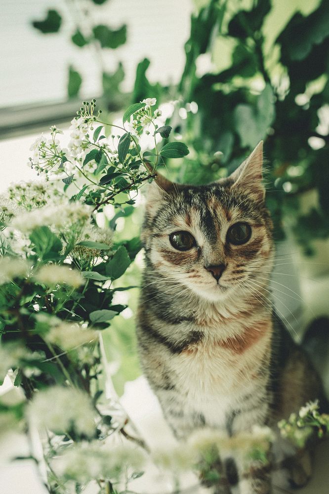 Фотография автора Альбина Кадочникова