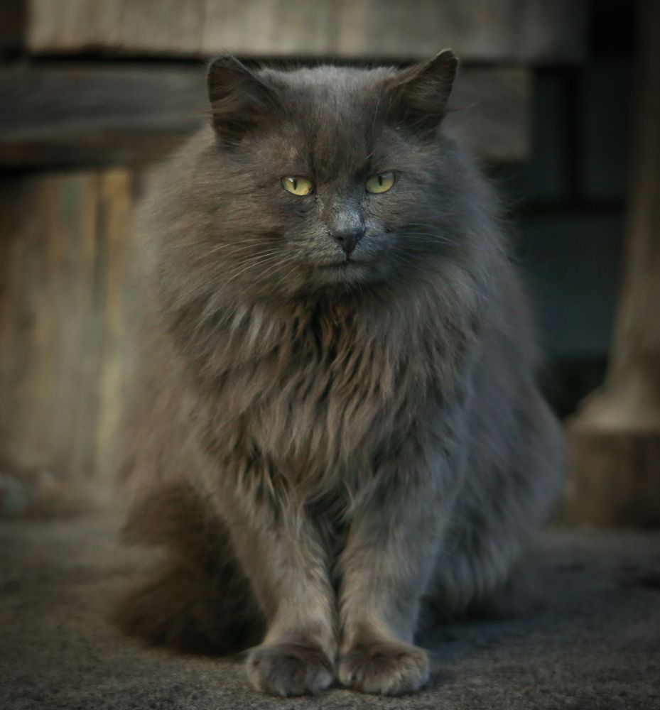 Photograph by Дмитрий Фетисов