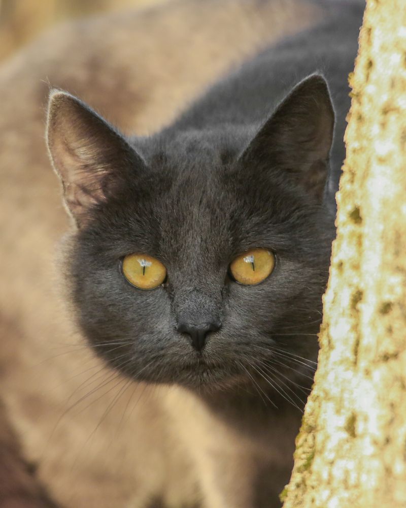 Photograph by Дмитрий Фетисов