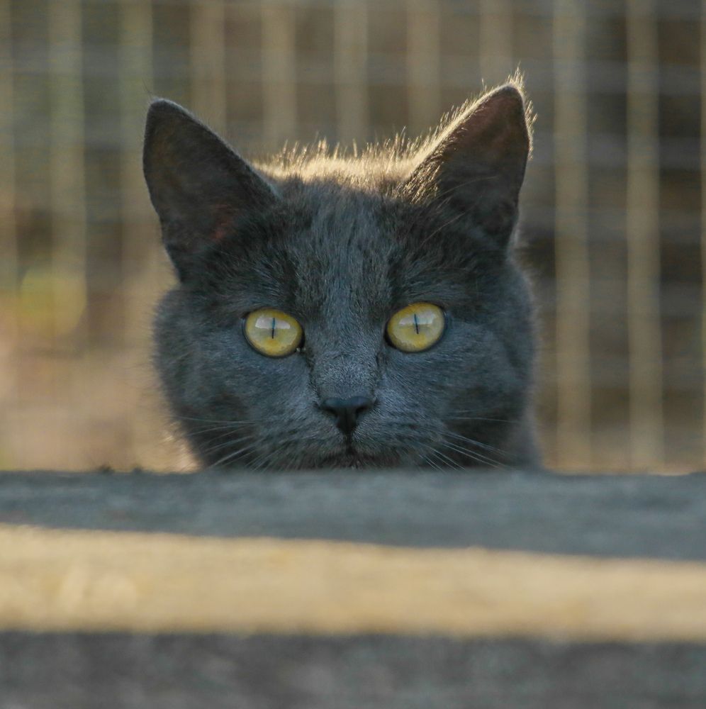 Photograph by Дмитрий Фетисов