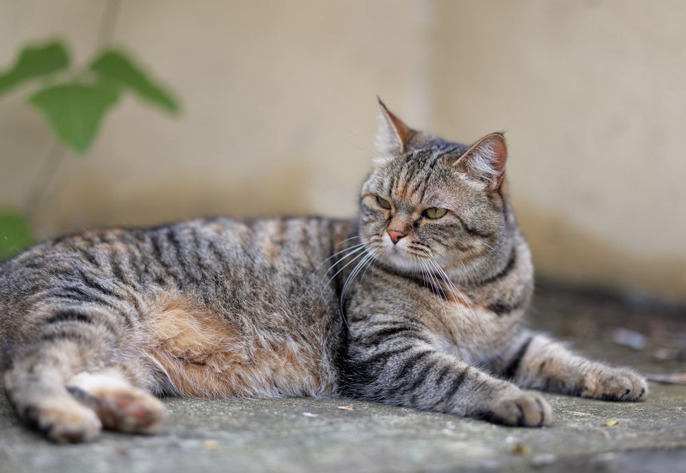 Photograph by Armen  Maitesian