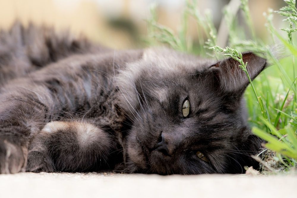 Photograph by Андрей Шаронов