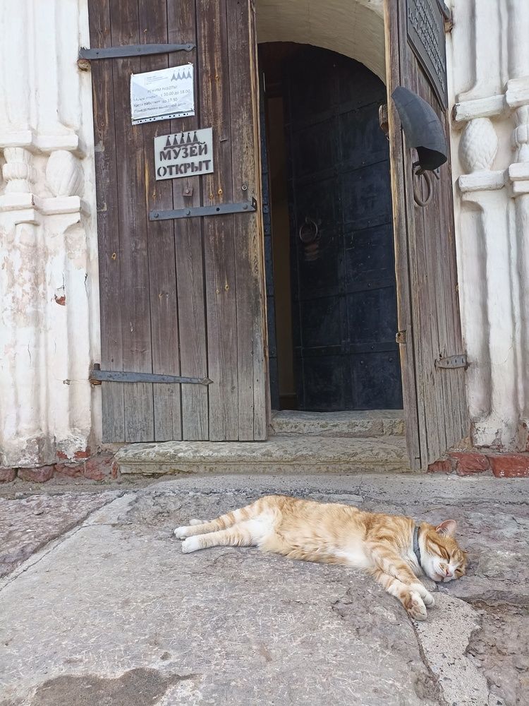 Photograph by Татьяна Смирнова