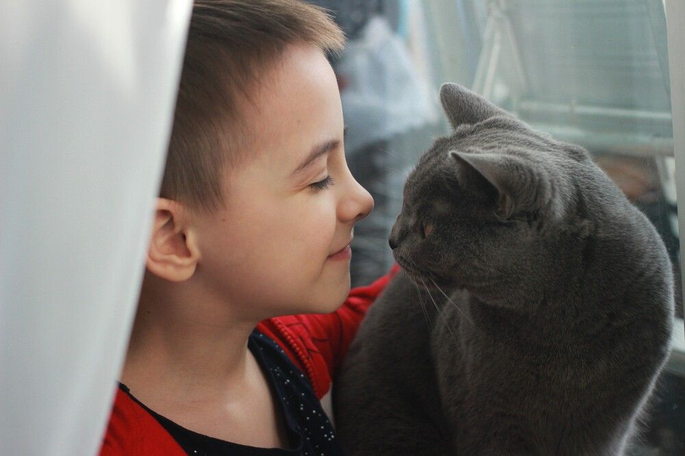 Фотография автора Светлана Терехова