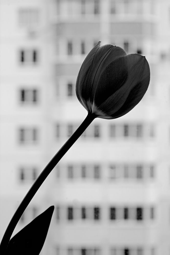 Photograph by Евгений Козлов
