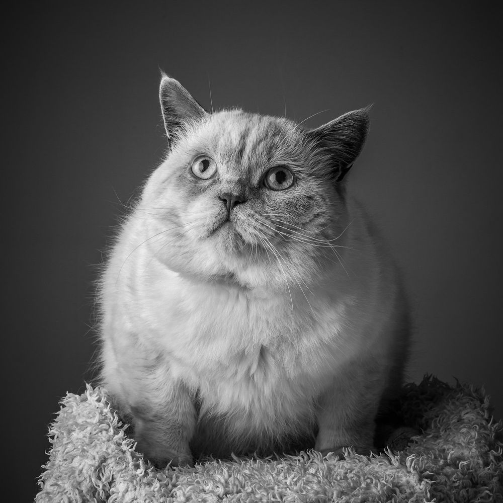 Photograph by Anatoly Chomko