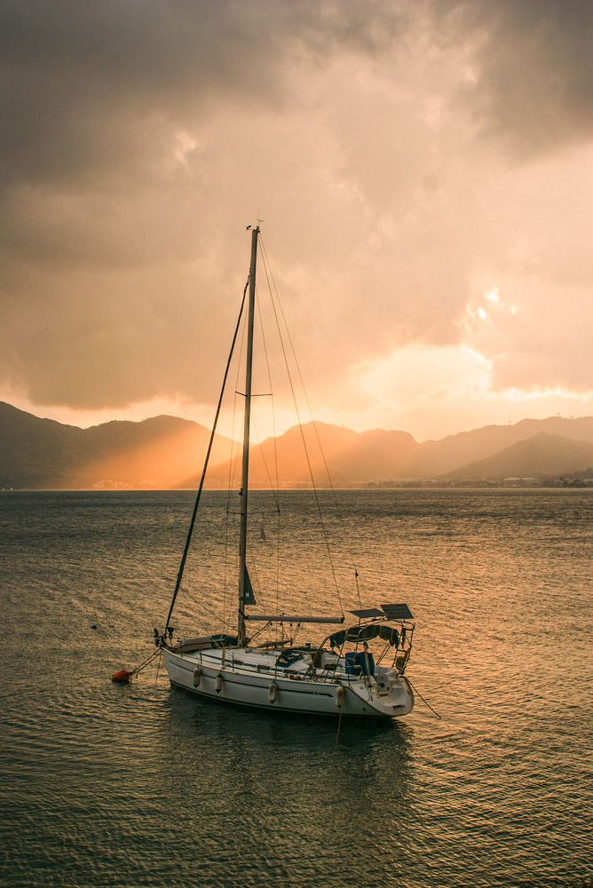Photograph by olga stekhnovskaya