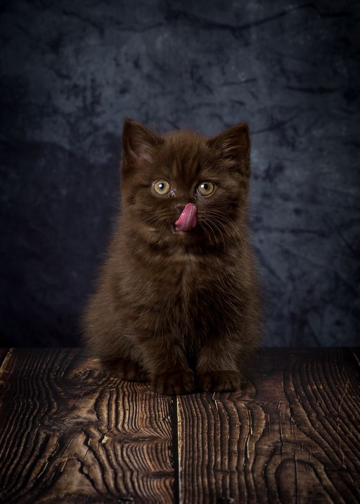 Photograph by Anatoly Chomko