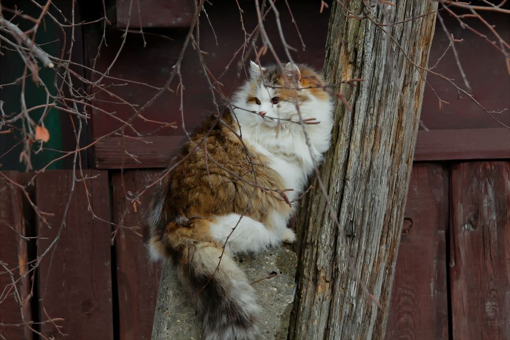 Photograph by Татьяна Слесарева