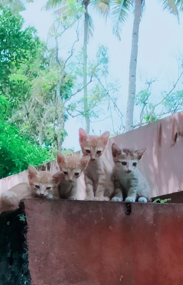 Photograph by KAVYA S D