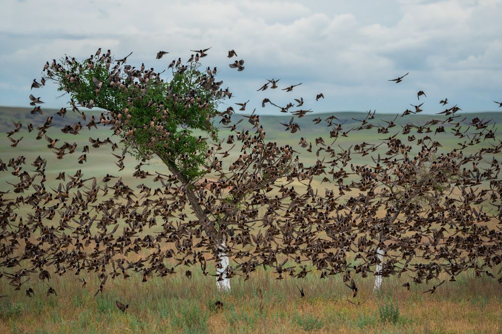Photograph by Рагинская Ольга