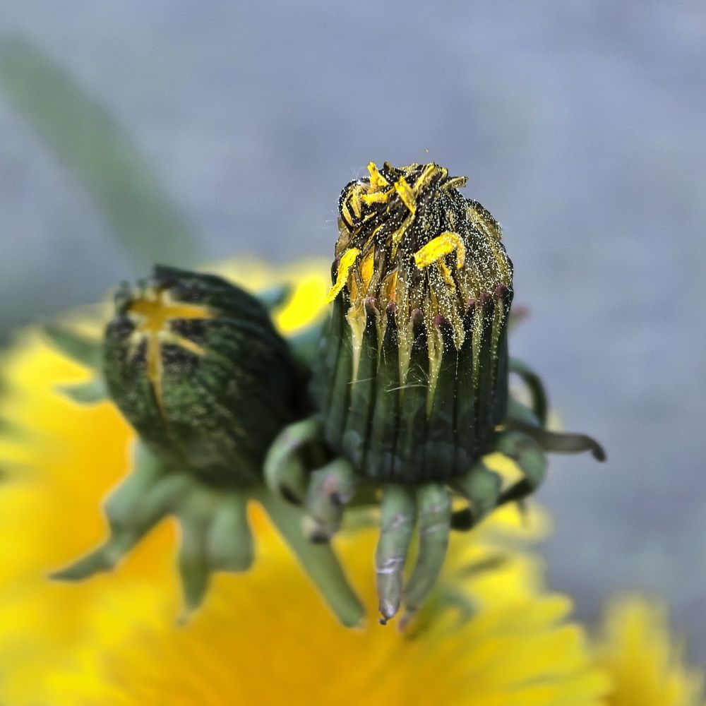 Photograph by Юрий Полушин