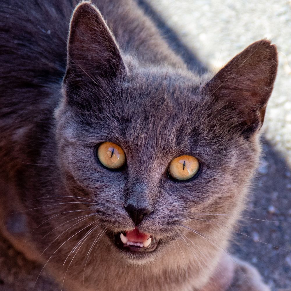 Photograph by Евгения Загудаева