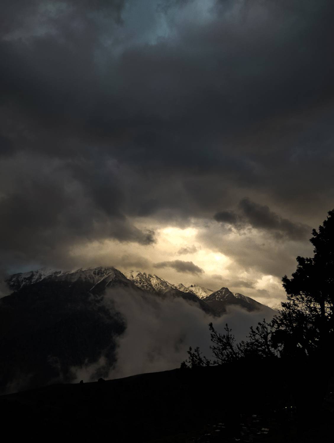 Photo #12240451