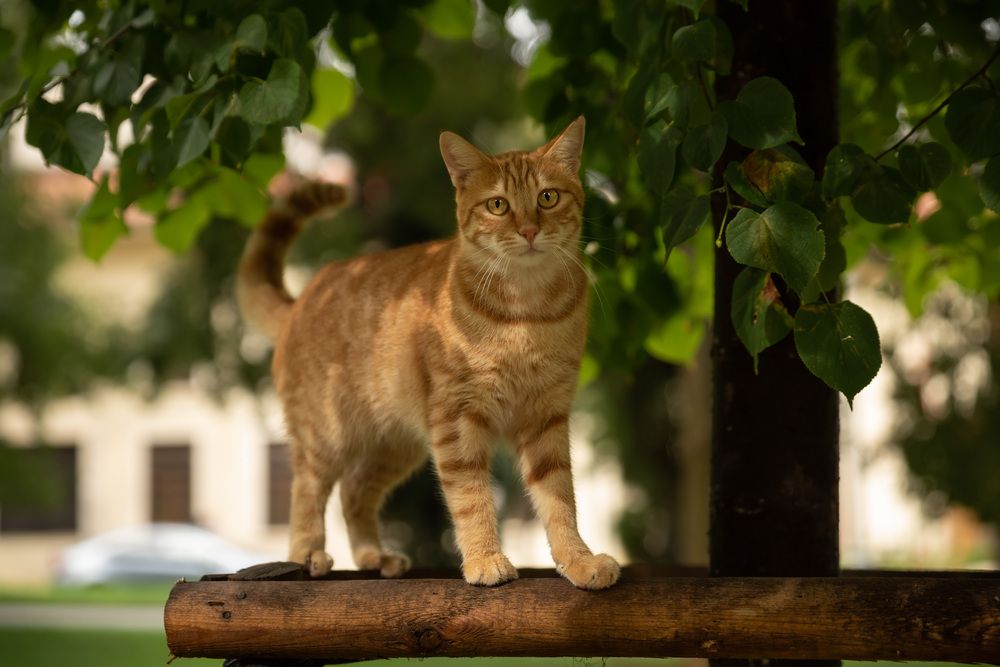 Photograph by Рагинская Ольга