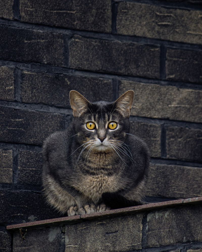 Photograph by Mikhail