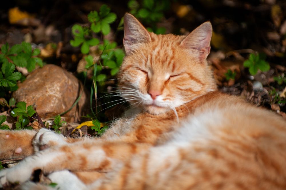 Photograph by Роман Приходько