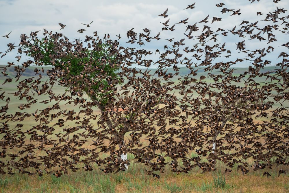 Photograph by Рагинская Ольга