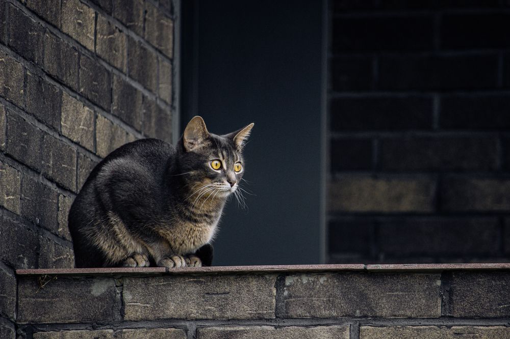 Photograph by Mikhail