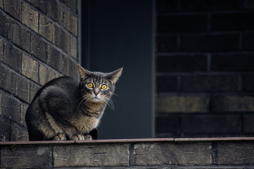 Photograph by Mikhail