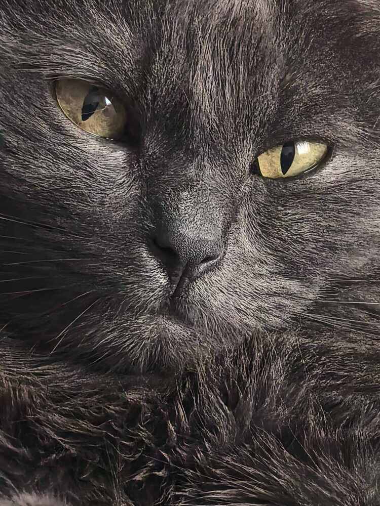 Фотография автора Марина Новикова