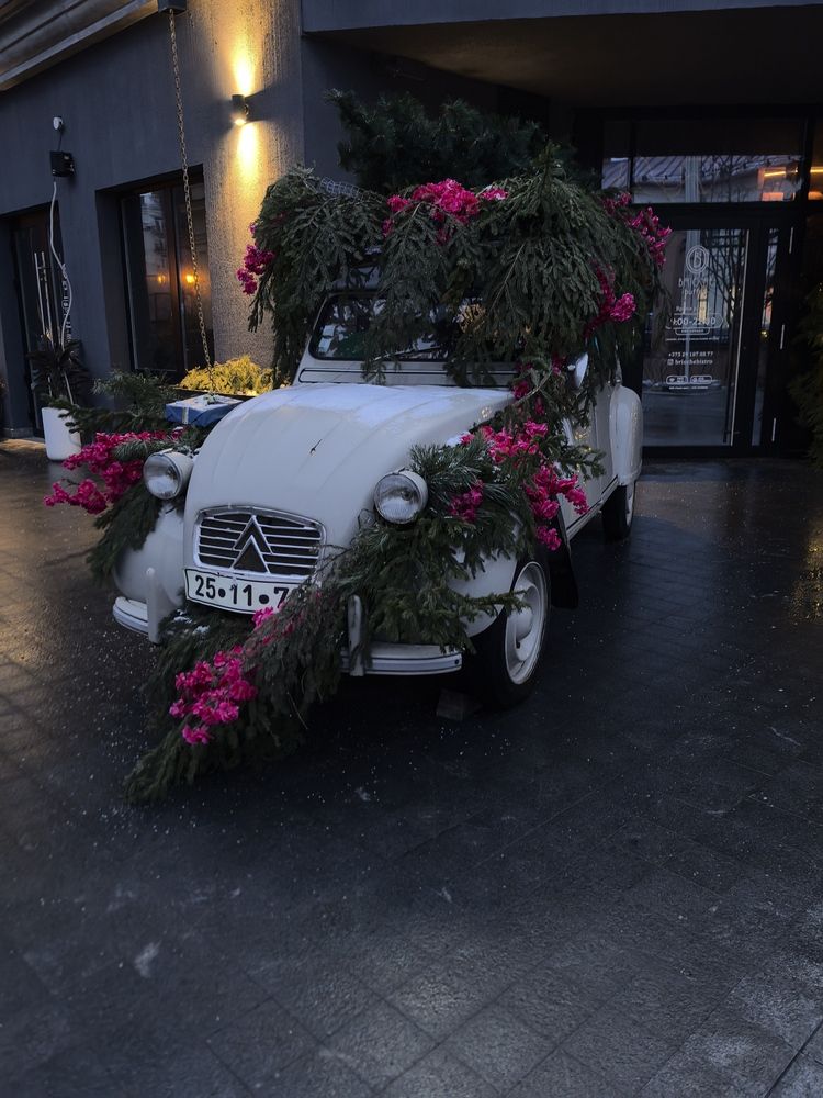 Фотография автора Марина Новикова