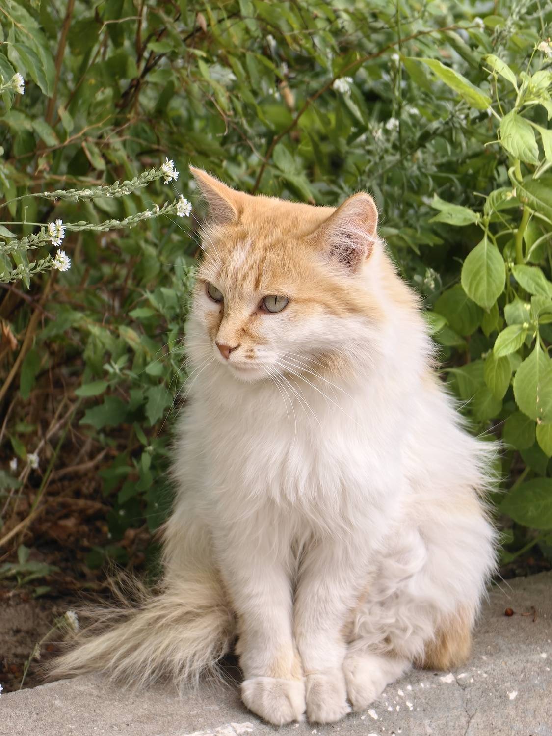 Photo #12240536
