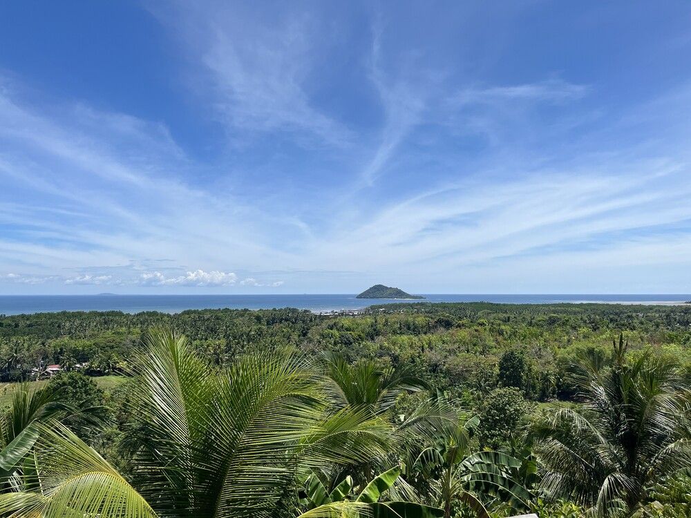 Island\'s Verdant Heart