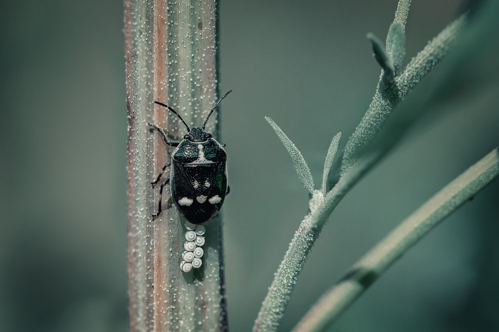 Photograph by Рагинская Ольга