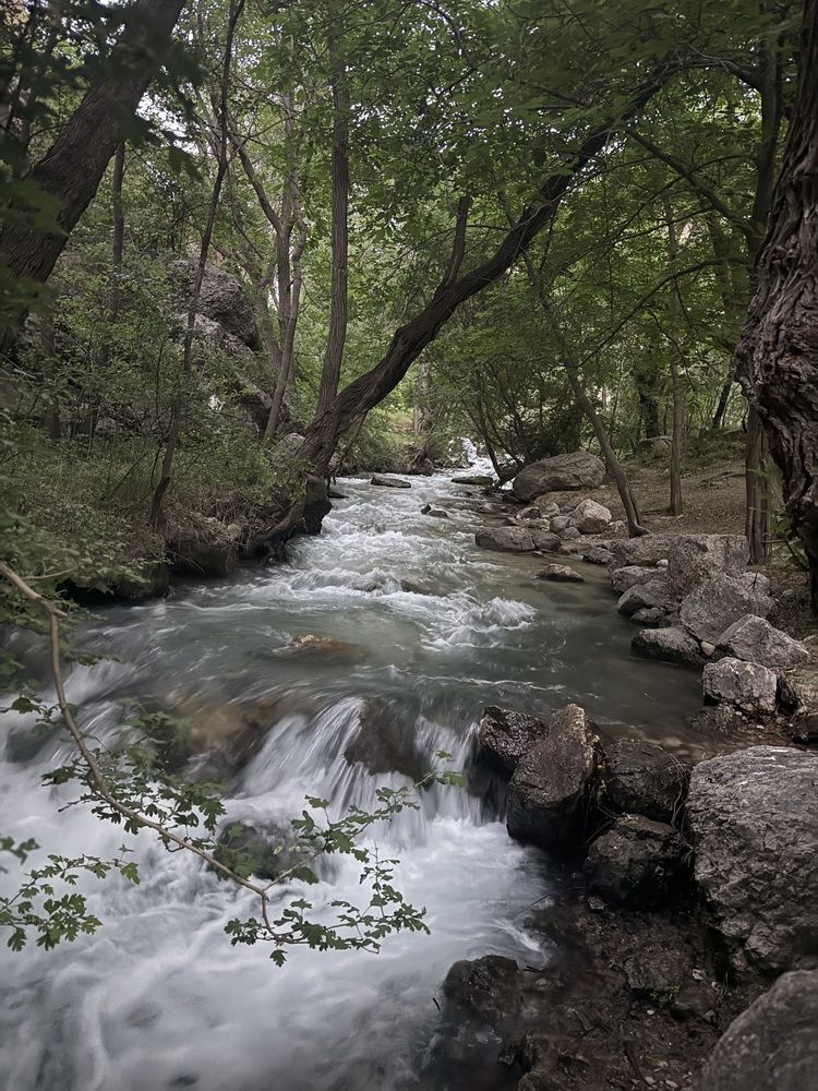 Photograph by Leyla Firouzi