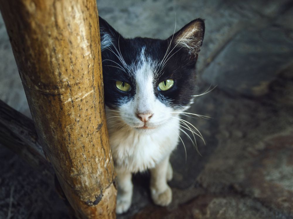 Photograph by Tatevik Tananyan