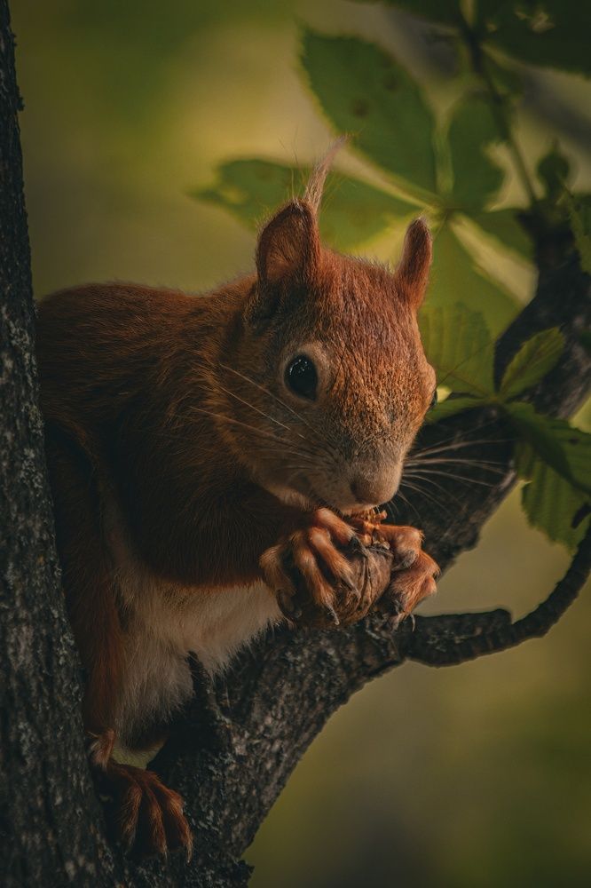 Photograph by Даниил Сырбу