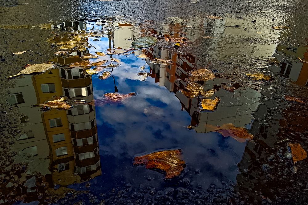 Photograph by Евгений Козлов