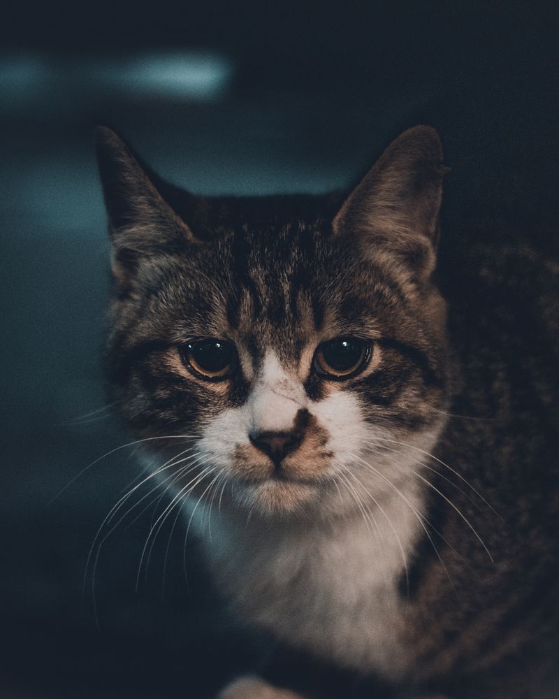 Photograph by Sharaf Suaibu