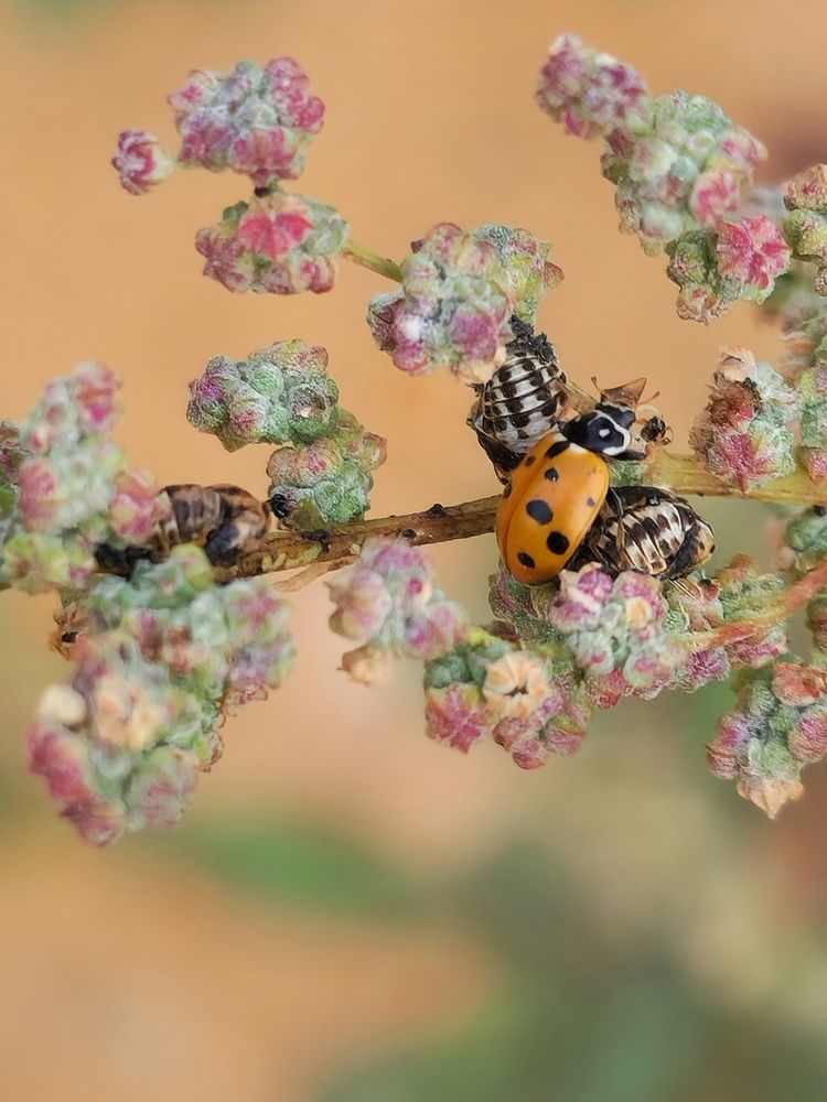 Фотография автора Ольга Быстрова