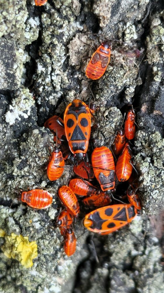 Фотография автора Ольга Быстрова