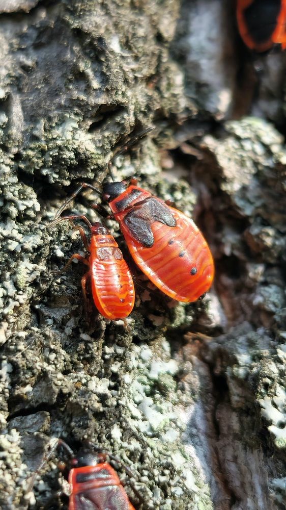 Фотография автора Ольга Быстрова